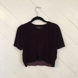 Vintage velvet crop top